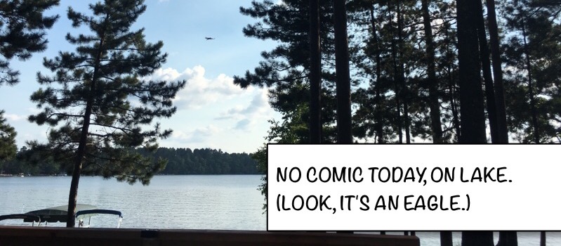 No Comic Today